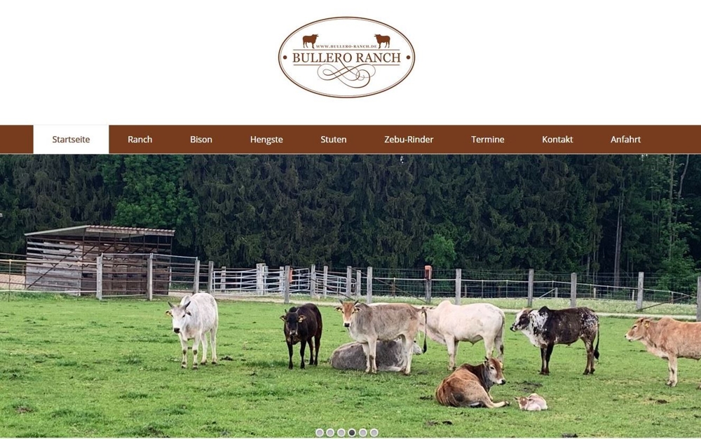 Hofmeier Webdesign_Bullero Ranch